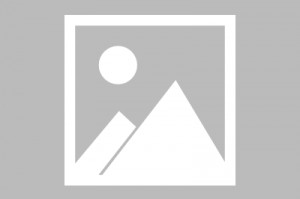 Ubisoft说，不要将刺客的信条阴影的成功与瓦尔哈拉进行比较：后者在Covid的“ Perfect Storm”中推出，而对平台上的反馈则不受评论轰炸的影响，这是出色的